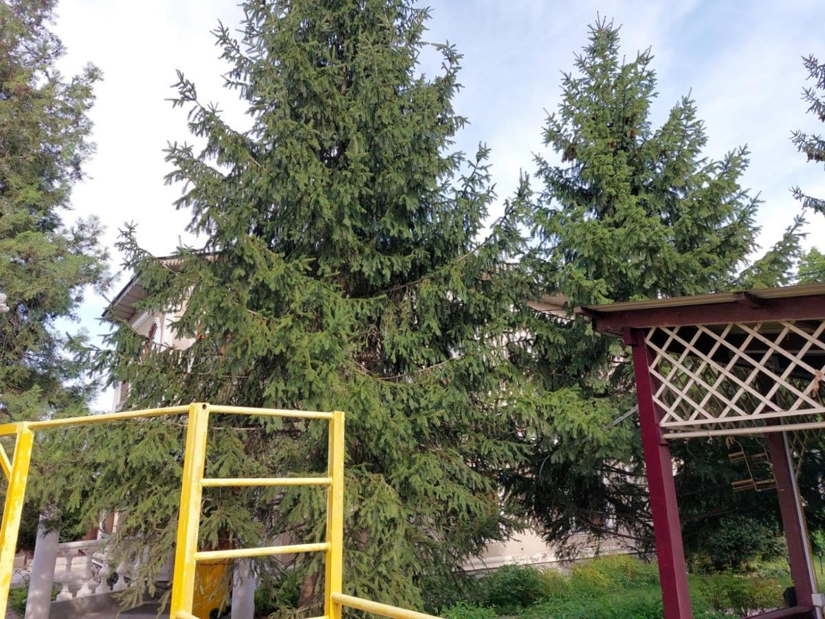 Room Hostel Dostyk Almatý Exterior foto